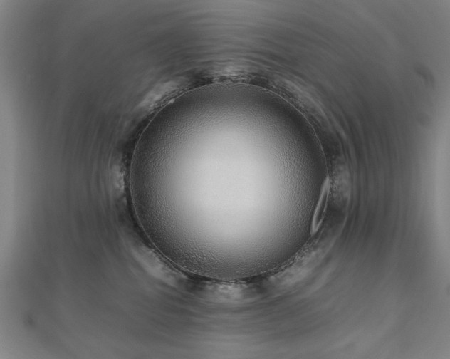 X0000112470282200908171205