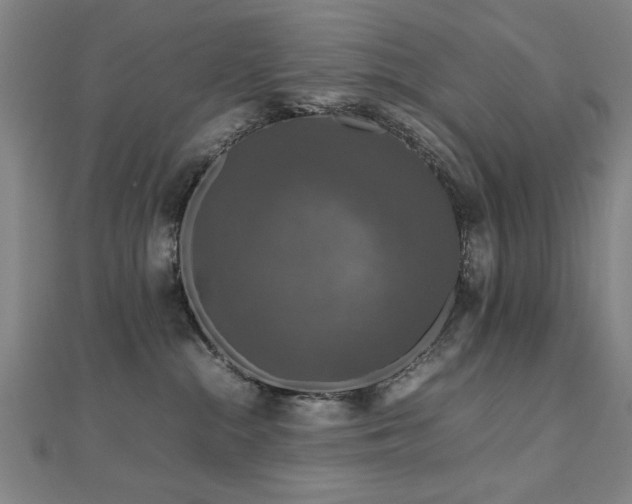 X0000112470284200908171205