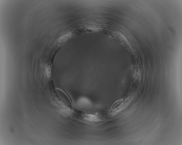 X0000112470285200908171205