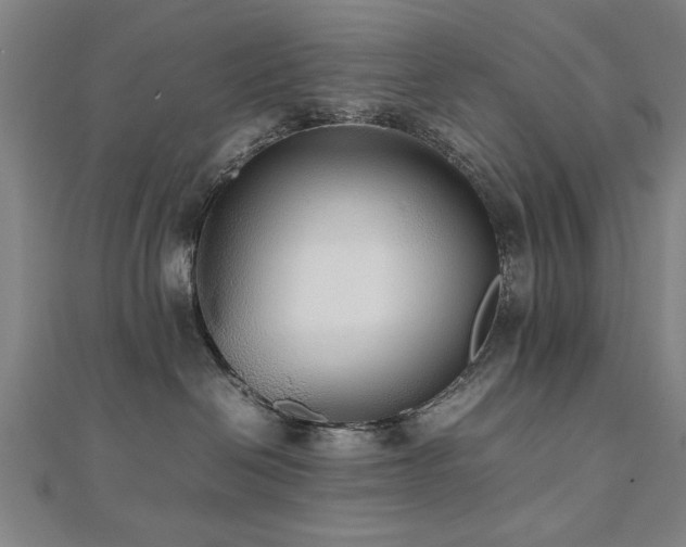 X0000112470286200908171205