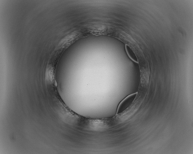 X0000112470287200908171205