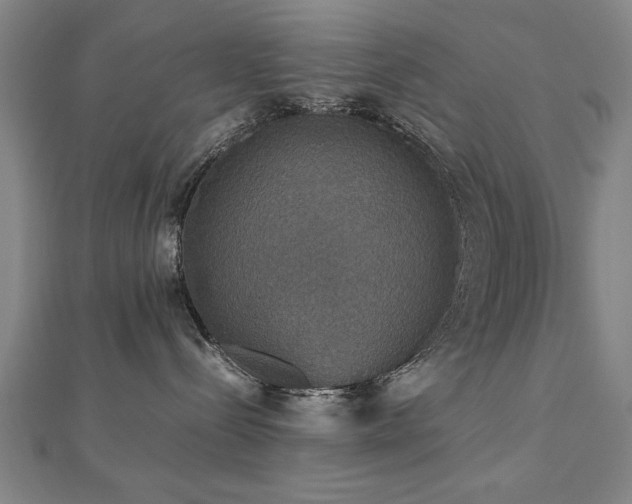 X0000112470288200908171205