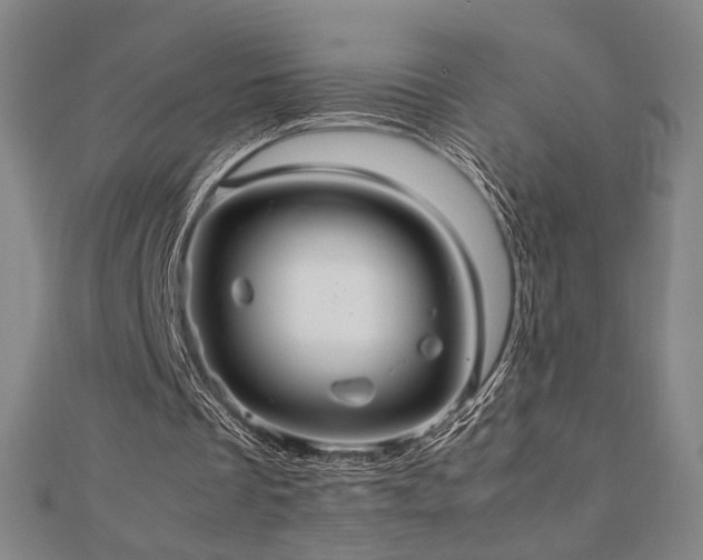 X0000112470289200908171204