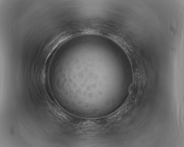 X0000112470290200908171204