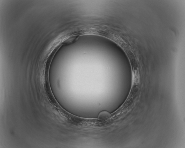 X0000112470291200908171204