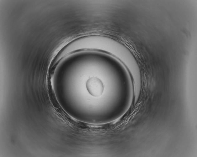 X0000112470292200908171204