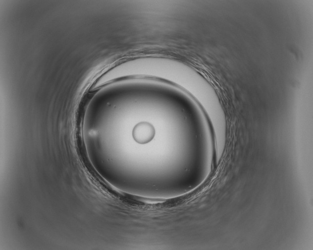 X0000112470293200908171204