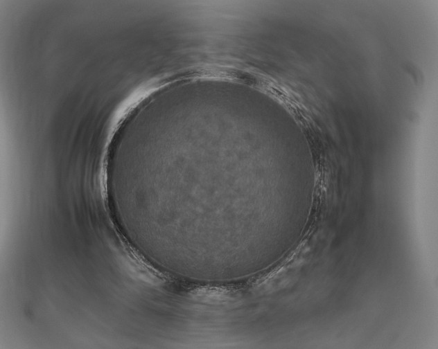 X0000112470294200908171204