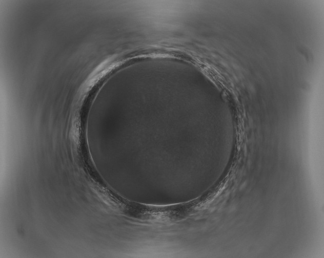 X0000112470295200908171204