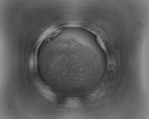 X0000112470296200908171204