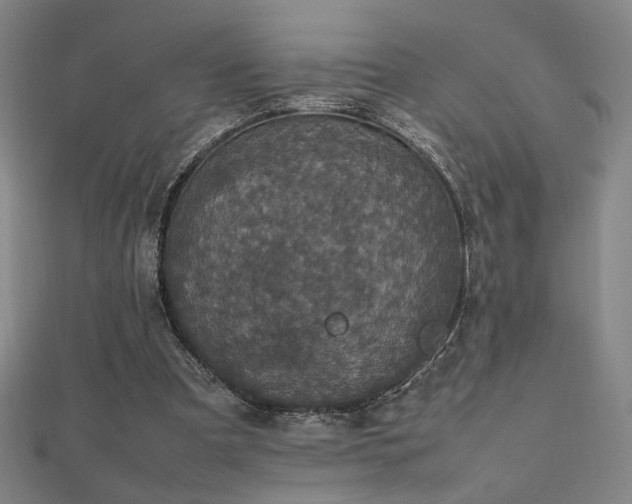 X0000112470297200908171204