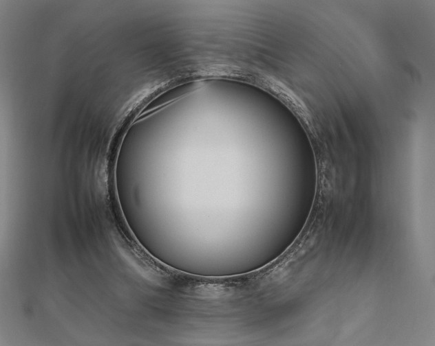 X0000112470298200908171204