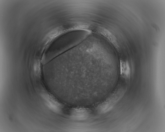 X0000112470300200908171204