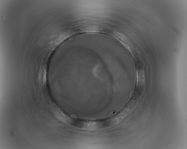 X0000112470301200908171204