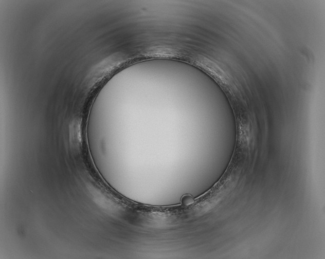 X0000112470302200908171204