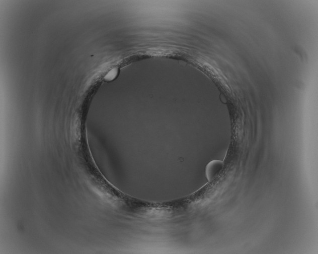 X0000112470303200908171204