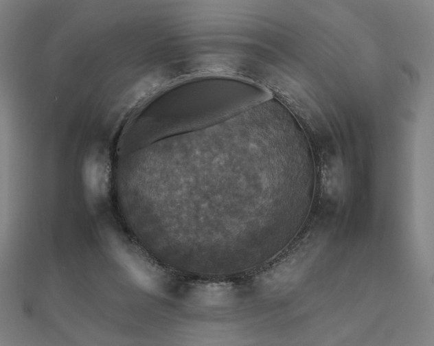 X0000112470304200908171204