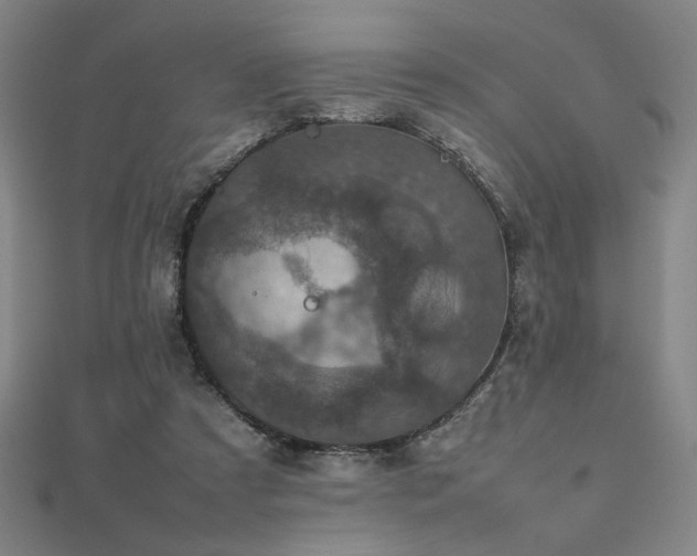 X0000112470305200908171204