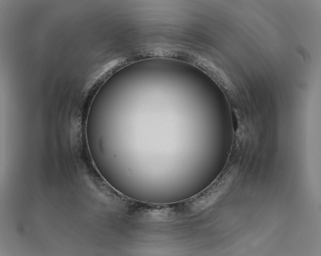 X0000112470306200908171204