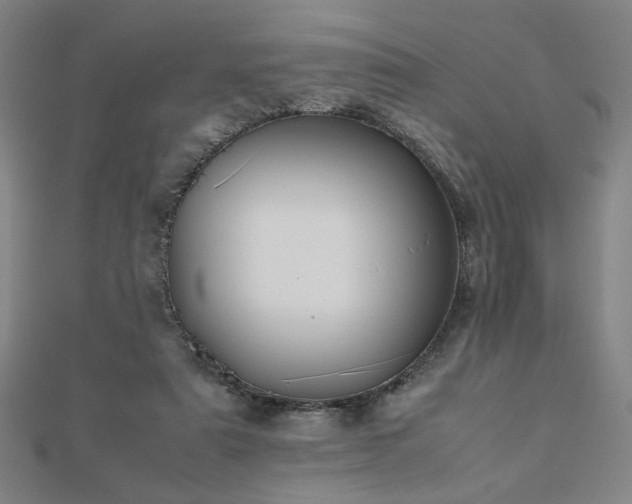 X0000112470307200908171204