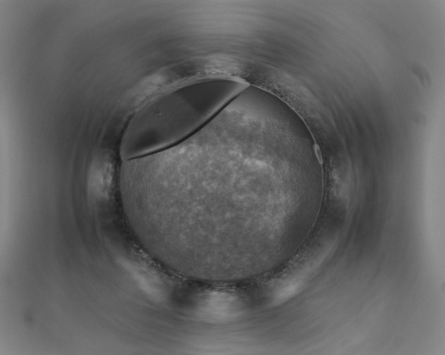 X0000112470308200908171204