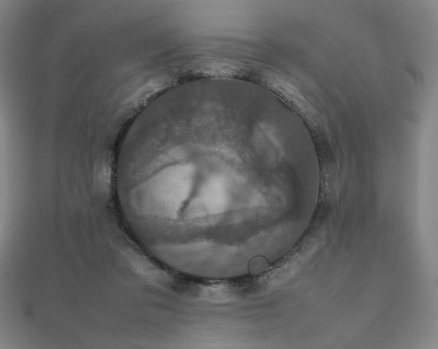 X0000112470309200908171204