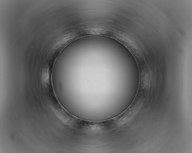 X0000112470310200908171204