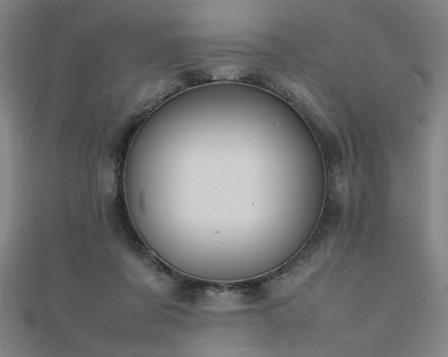 X0000112470311200908171204