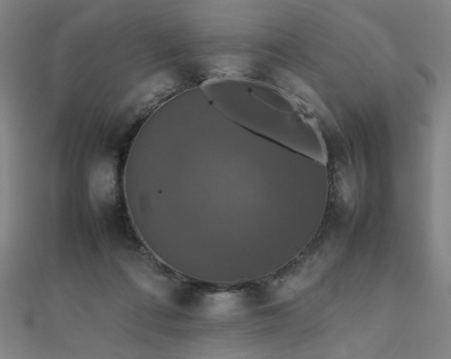 X0000112470312200908171204