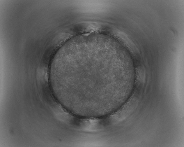 X0000112470313200908171204