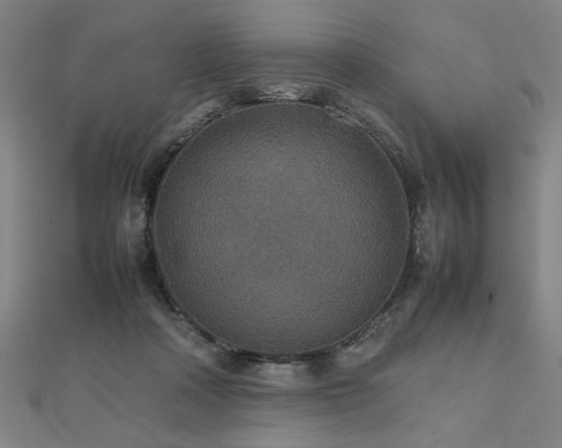 X0000112470314200908171204