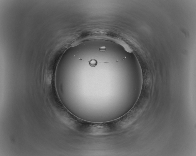 X0000112470315200908171204