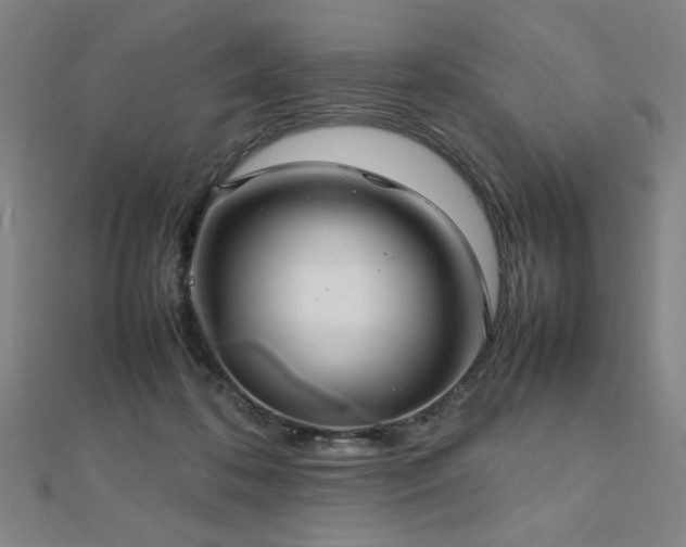 X0000112470316200908171204