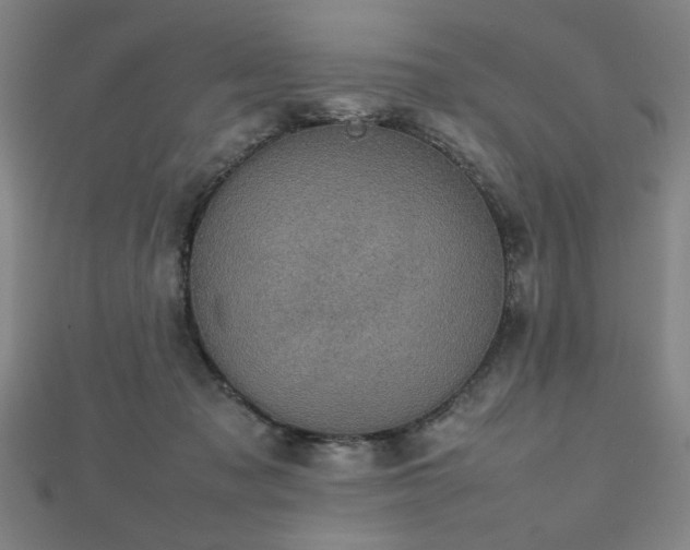 X0000112470317200908171204