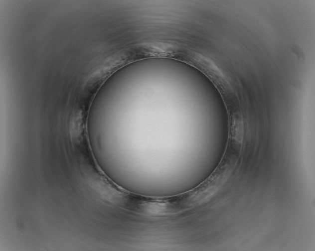 X0000112470318200908171204