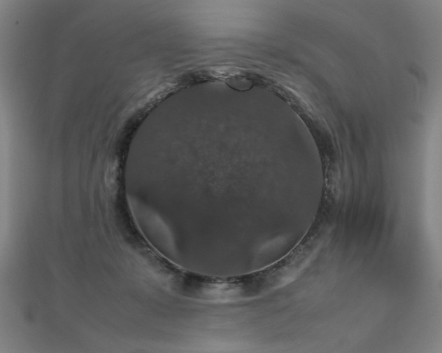 X0000112470319200908171204