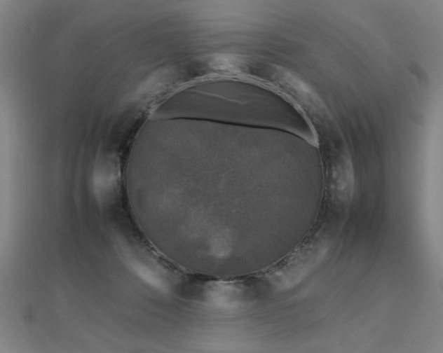 X0000112470320200908171204