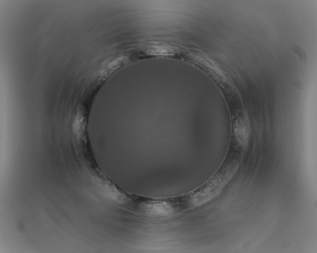 X0000112470322200908171204