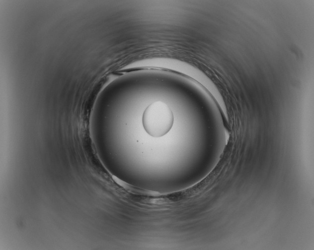 X0000112470324200908171204