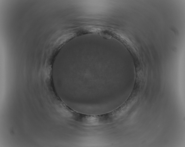 X0000112470325200908171204