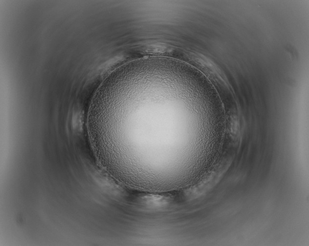 X0000112470326200908171204