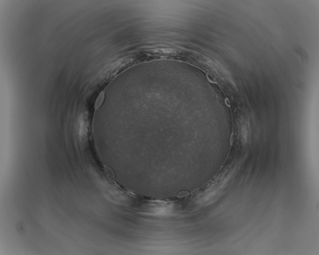 X0000112470328200908171204