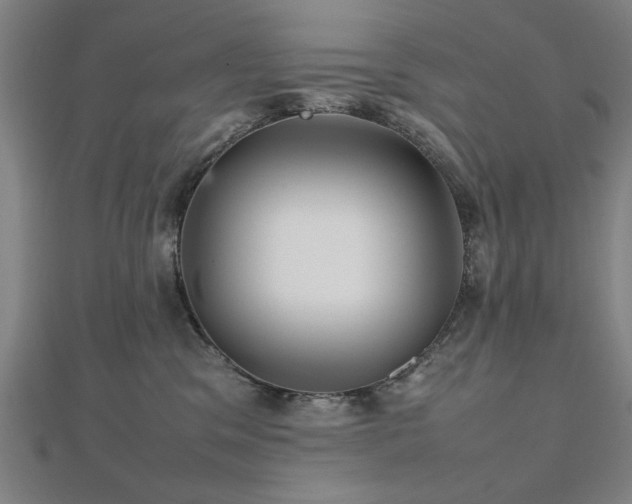 X0000112470329200908171204