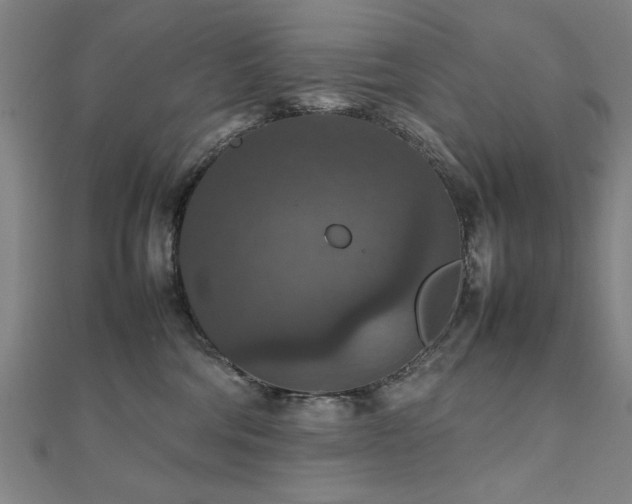 X0000112470330200908171204