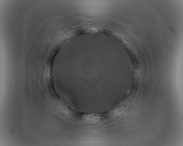 X0000112470331200908171204