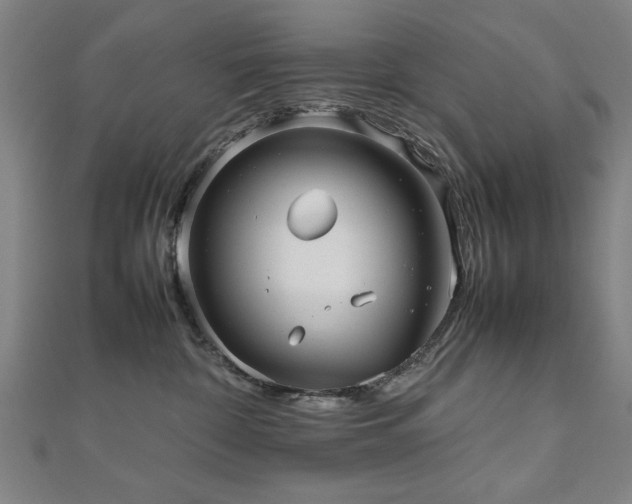 X0000112470332200908171204