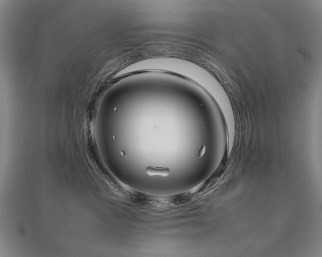 X0000112470333200908171204