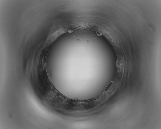 X0000112470334200908171204