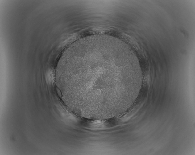 X0000112470335200908171204