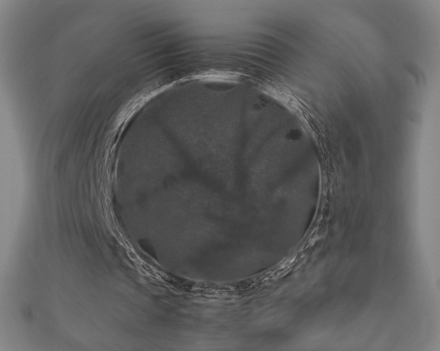 X0000112470337200908171203